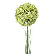 DELICATO-CIDREIRA-VERDE-BOUQUET