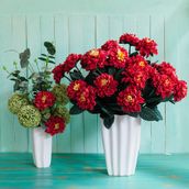 DELICATO-CIDREIRA-VERDE-BOUQUET