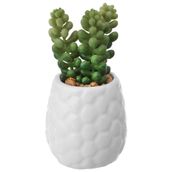 SUCULENTA-BURRITO-MINI-ARRANJO-BRANCO-VERDE-KOMODO