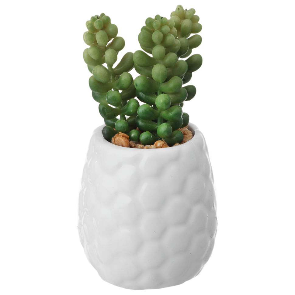 SUCULENTA-BURRITO-MINI-ARRANJO-BRANCO-VERDE-KOMODO