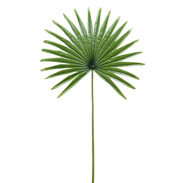 FOLHAGEM-82-CM-VERDE-ROYALTY-PALM