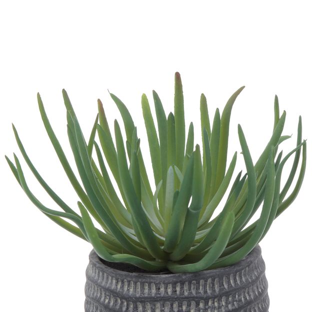 SUCULENTA-ARRANJO-18-CM-KONKRET-VERDE-BETON