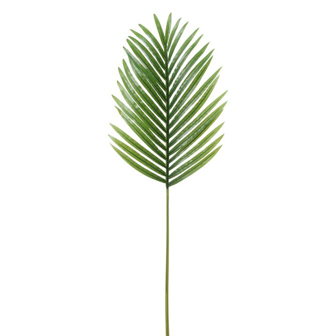 Folhagem 103 Cm Royalty Palm