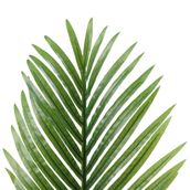 FOLHAGEM-103-CM-VERDE-ROYALTY-PALM