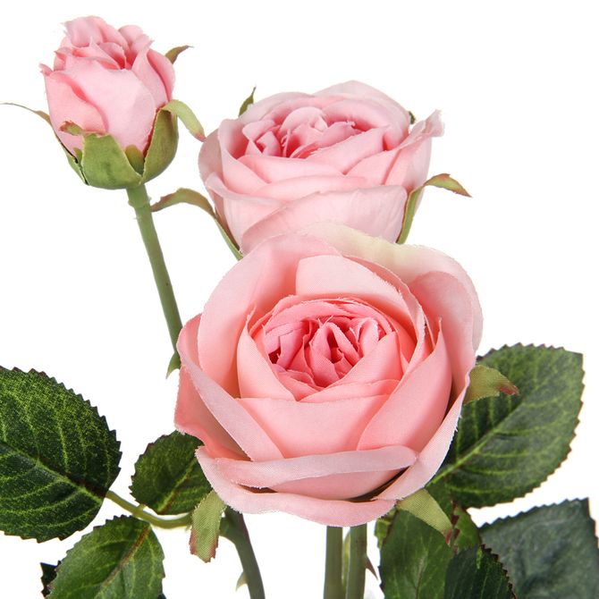 Mini Rose Rosa Flor Tok Stok M