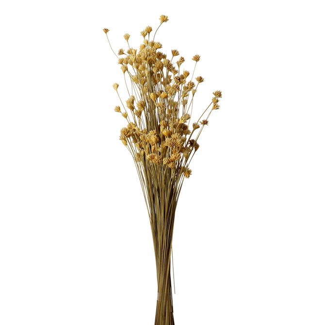 Bouquet Espeta Nariz