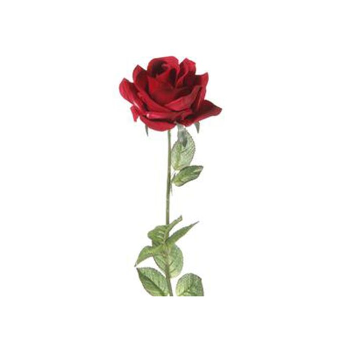 RAINHA FLOR ROSA - Tok Stok - M