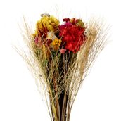 BOUQUET-MULTICOR-SILVESTRE