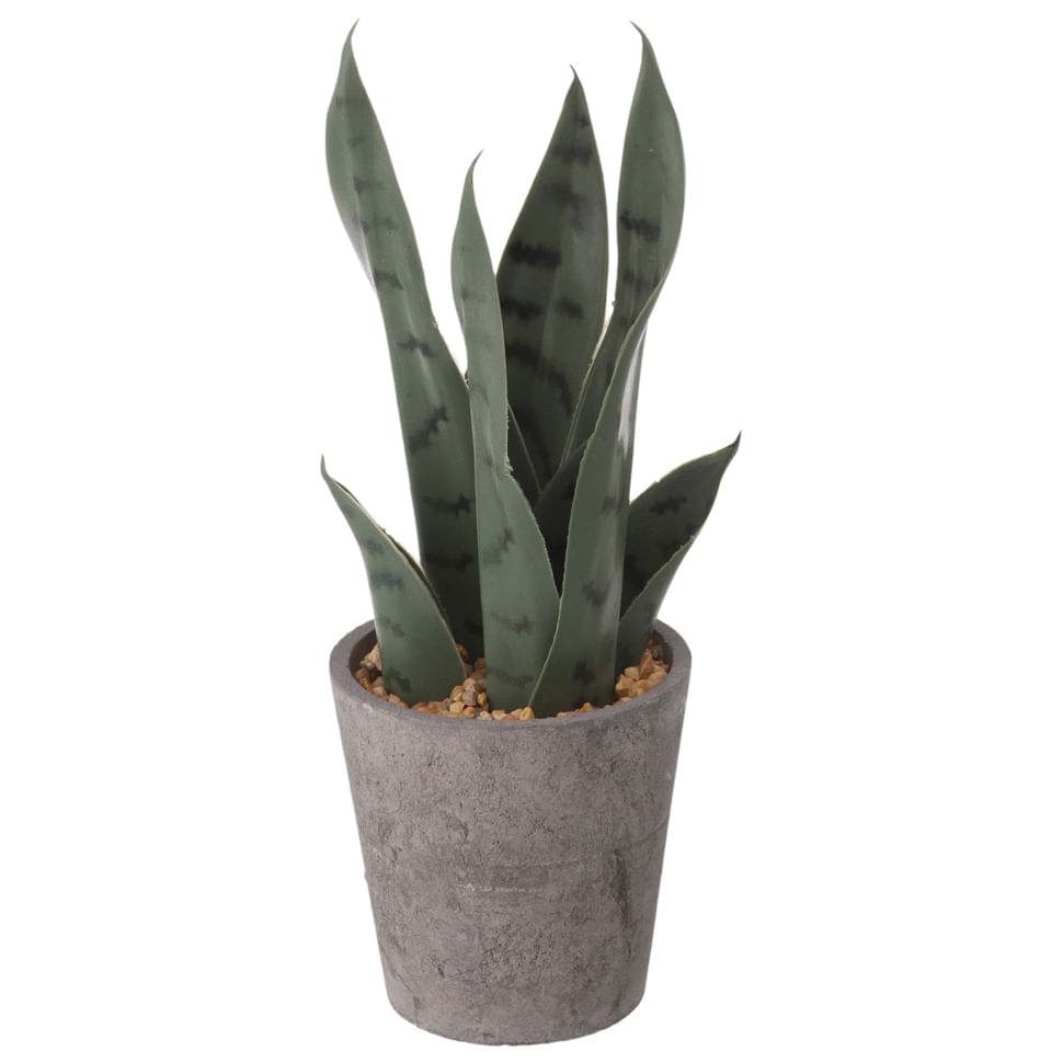 YUCATAN-ESPADA-SE-SJORGE-ARRANJO-GD-GRAFITE-VERDE-YUKATAN