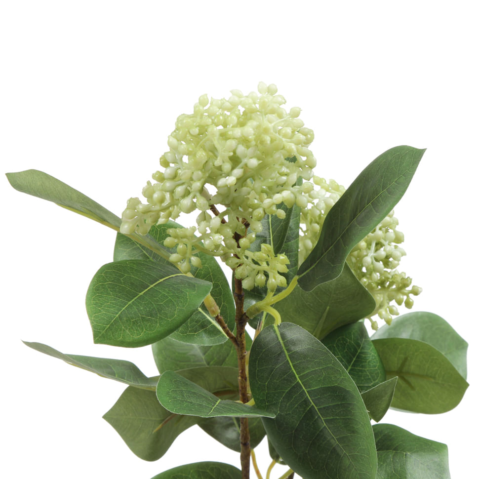 FLOR-VIBURNO-VERDE-CLARO-VERDE-CAMPONESA