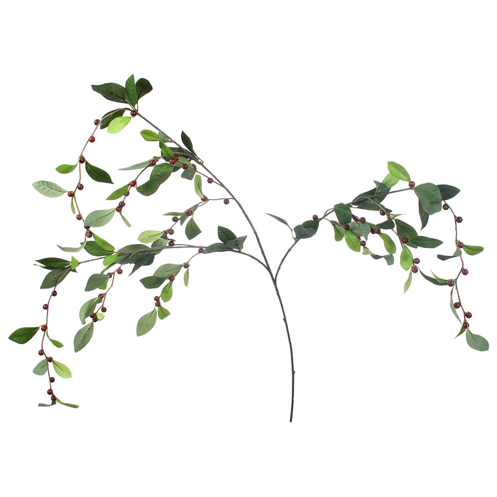 RED-BERRY--C-FRUTO-VERMELHO-HINDU-VERDE-FOLHAGEM