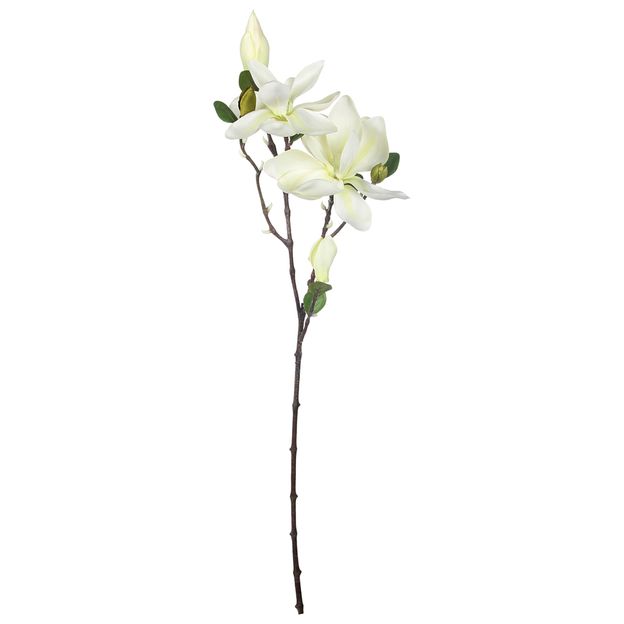 CHARMING-MAGNOLIA-FLOR-BRANCO-VERDE-FLORES