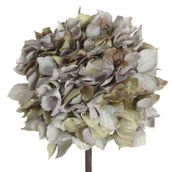 BIA-FLOR-HORTENCIA-CINZA-VERDE-FLORES