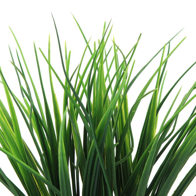 Esplendor Grama Mini Arranjo Tok Stok M