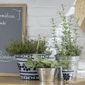 VASO-20-CM-BRANCO-AZUL-MONTE-SIAO