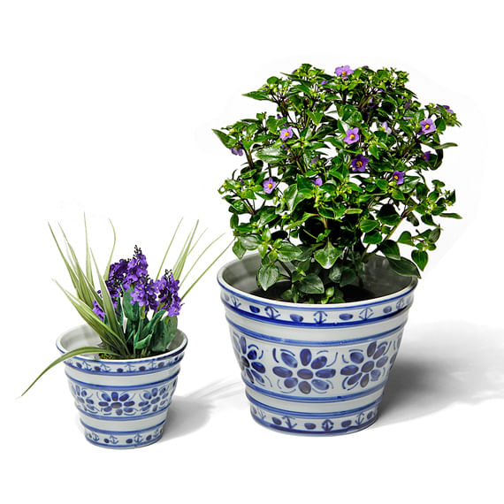 VASO-20-CM-BRANCO-AZUL-MONTE-SIAO