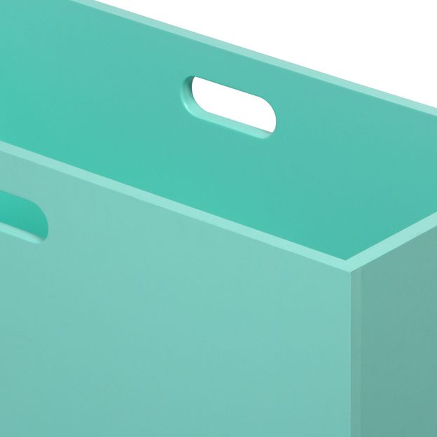 CAIXA-ORGANIZADORA-33X67X31-MENTA-CELL