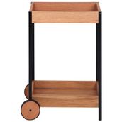 CARRINHO-56X40-EUCALIPTO-PRETO-FLO