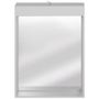 ESPELHO-COM-LUMINARIA-60X80-BRANCO-BIANC