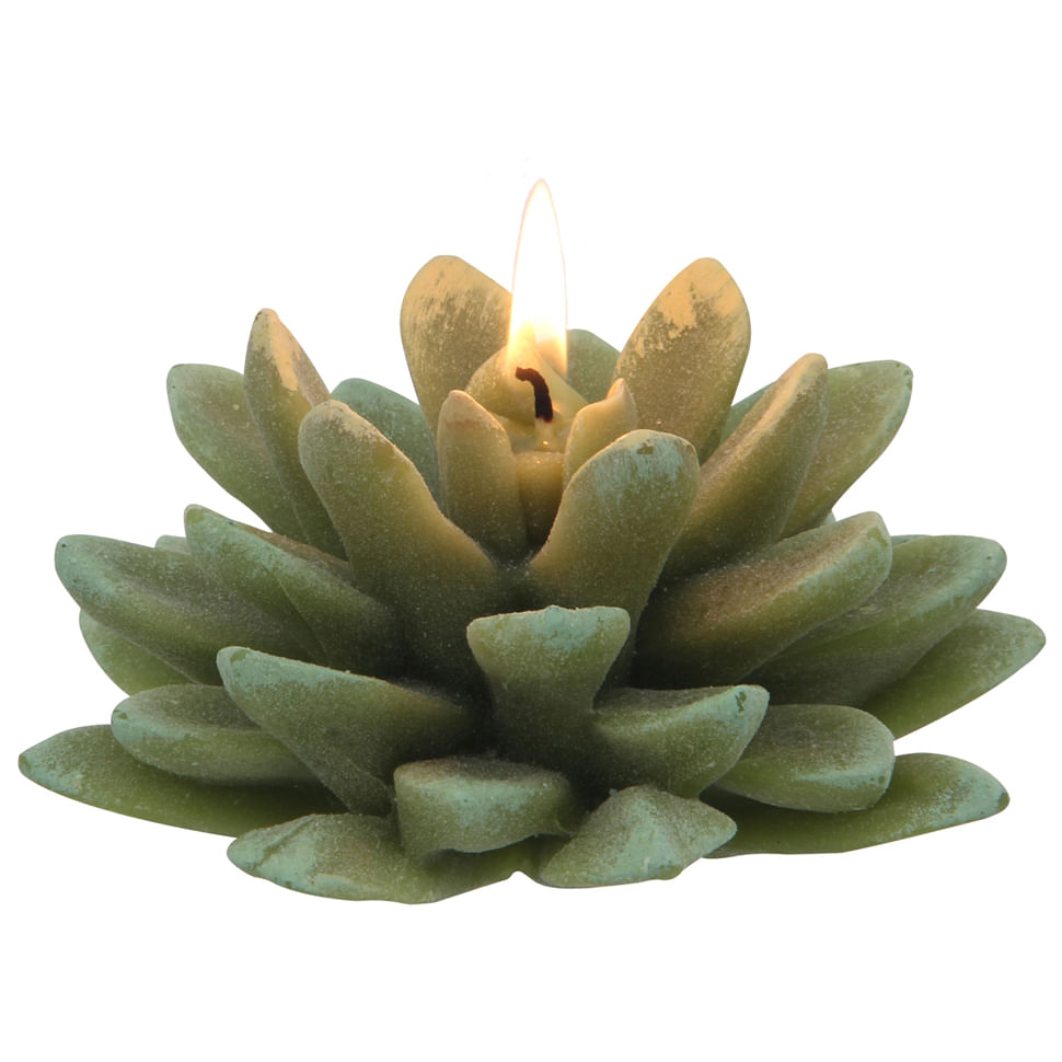 SUCULENTA-VELA-VERDE-SUCULENTAS