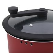 PIPOQUEIRA-22-CM-TOMATE-PRETO-CHILLI