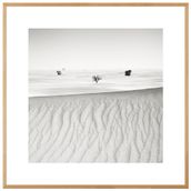 SIGNS-OF-LIFE-IV-QUADRO-60-CM-X-60-CM-CINZA-NOZES-GALERIA-SITE