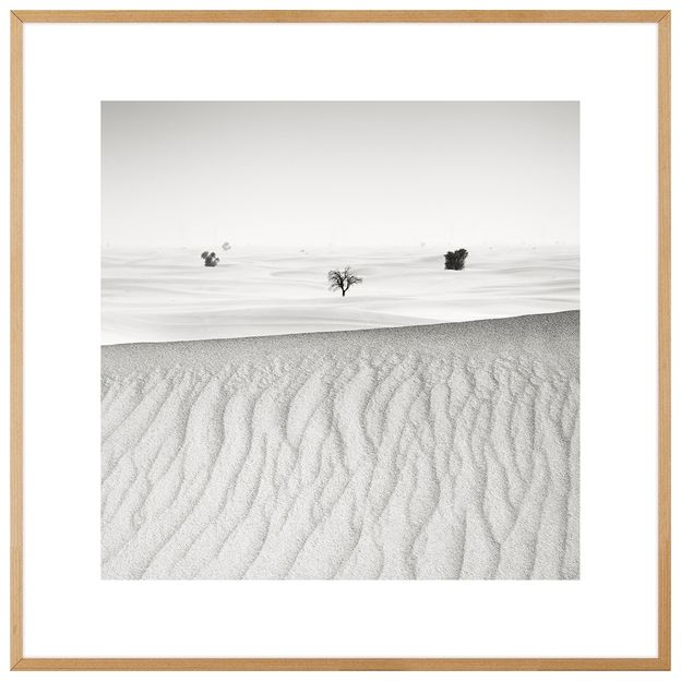 フォトアート QUADRO SIGNS OF LIFE IV 60 CM X 60 CM NOZES/CINZA | Tok&Stok