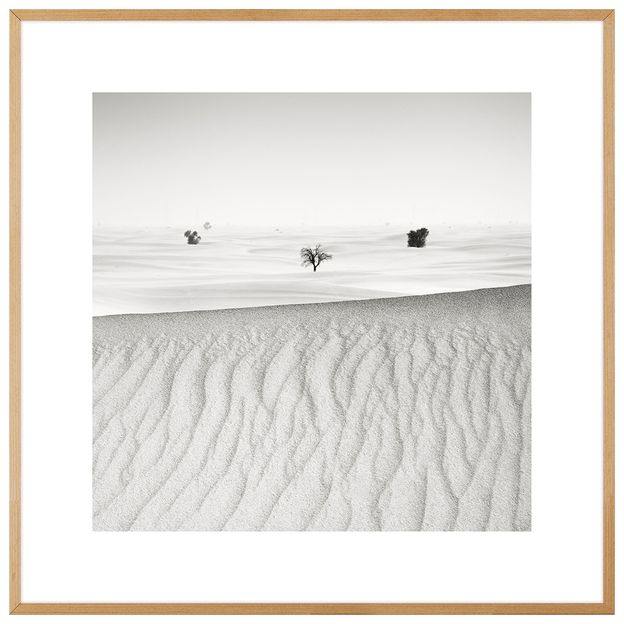 SIGNS-OF-LIFE-IV-QUADRO-60-CM-X-60-CM-CINZA-NOZES-GALERIA-SITE