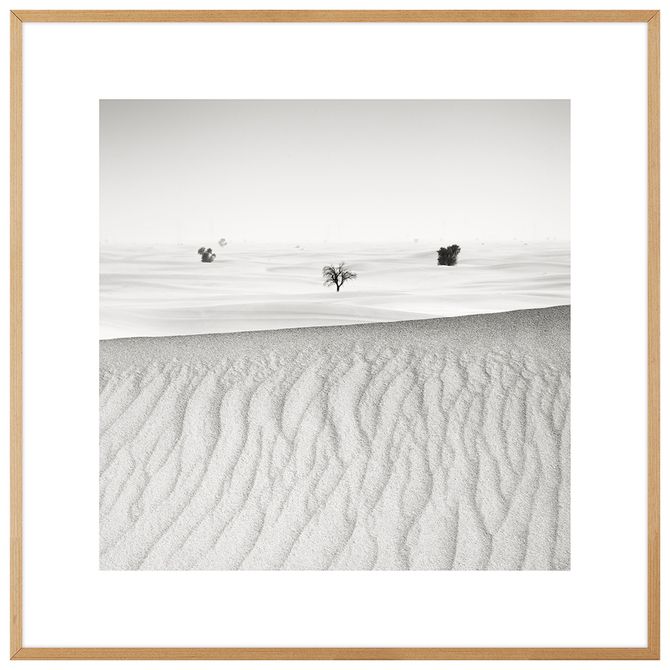 Quadro Signs Of Life Iv 60 Cm X 60 Cm