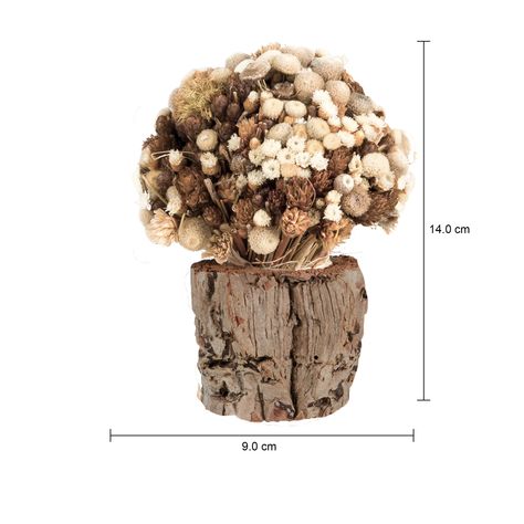 Imagem com medidas do produto ARRANJO FLORES 14 CM GALHEIROS