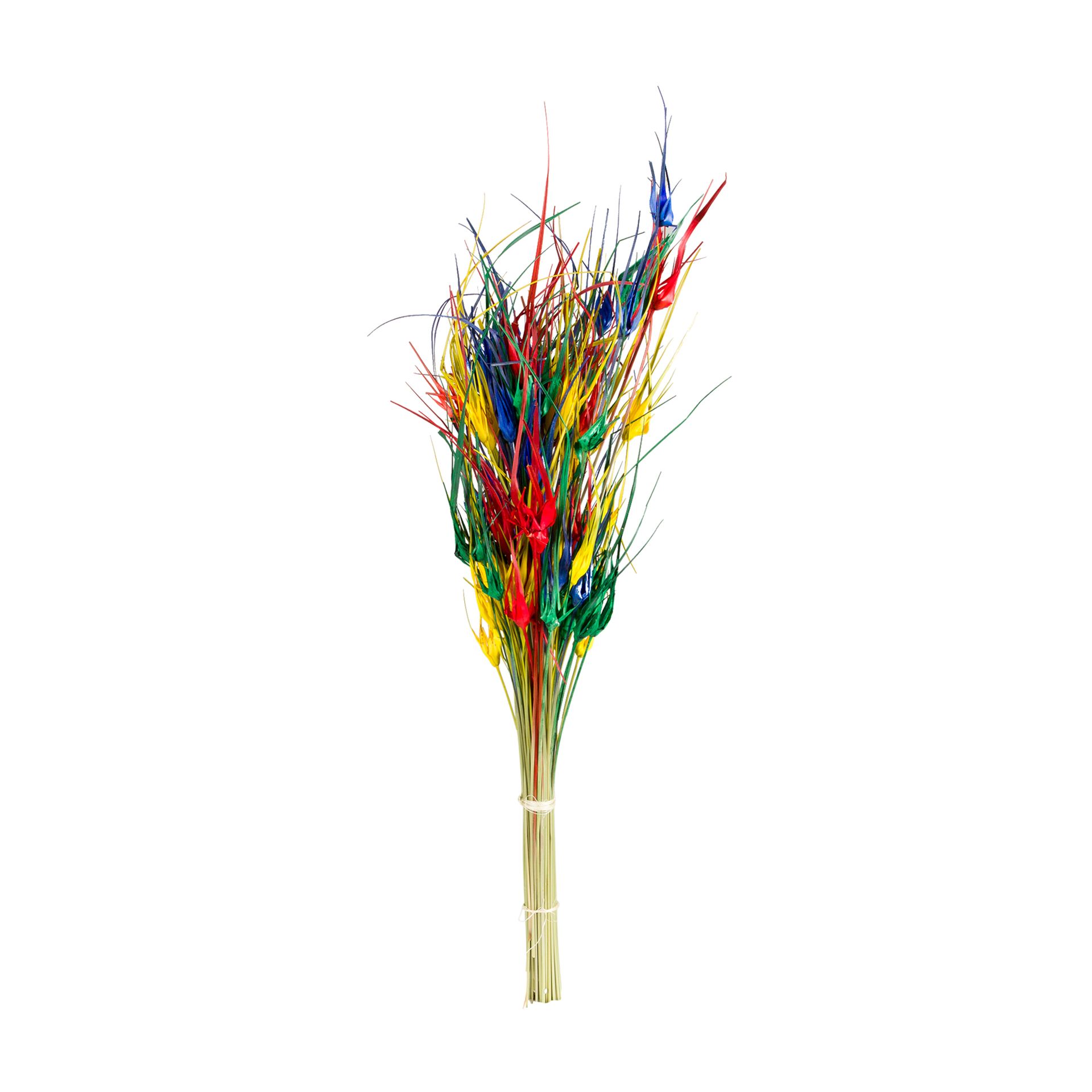 FOLHAGEM-MULTICOR-ESTRELA_ST0