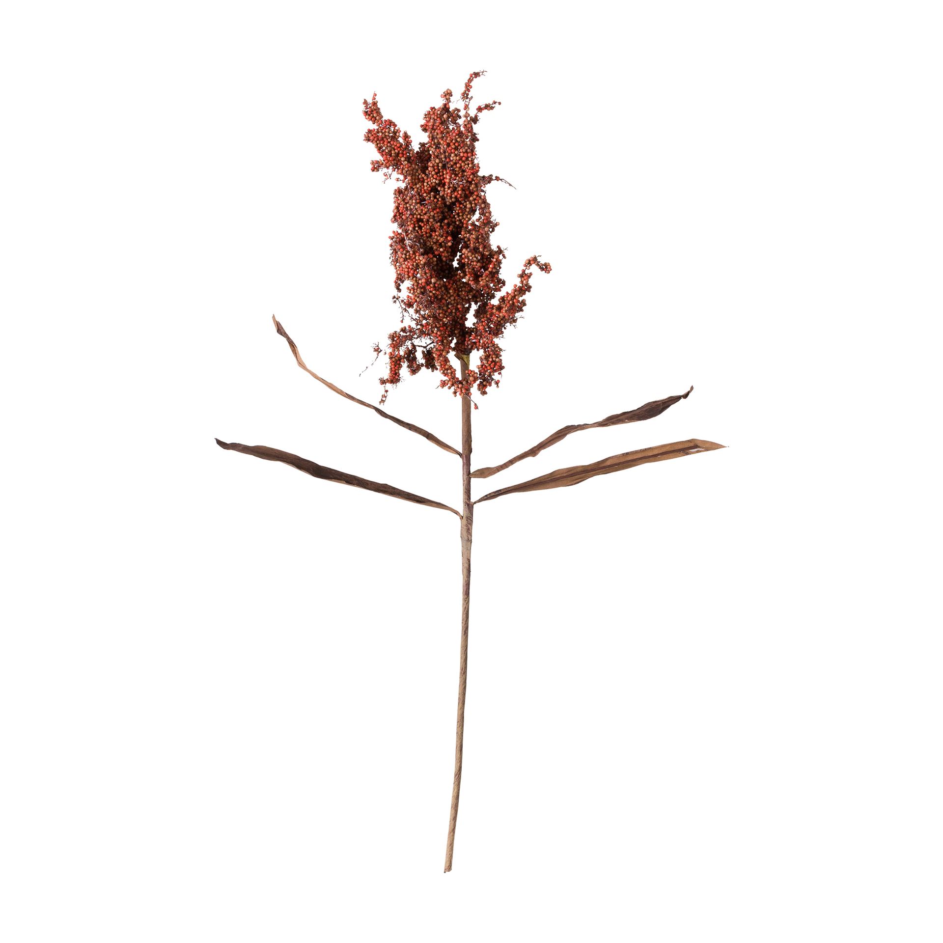 FLOR-CANELA-DO-CEIL-O-CANELA-DO-CEIL-O-ALVORADA_ST0