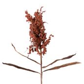 FLOR-CANELA-DO-CEIL-O-CANELA-DO-CEIL-O-ALVORADA_ST1