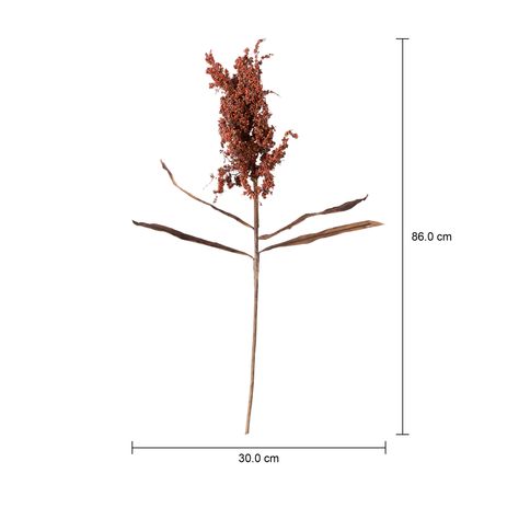 Imagem com medidas do produto FLOR ALVORADA