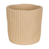 CACHEPO-16-CM-AREIA-ORGANICAL_ST0