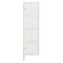 ARMARIO-C-ESPELHO-1-PORTA-110-M-X-30-CM-BRANCO-PRATA-HIDRIX_ST3