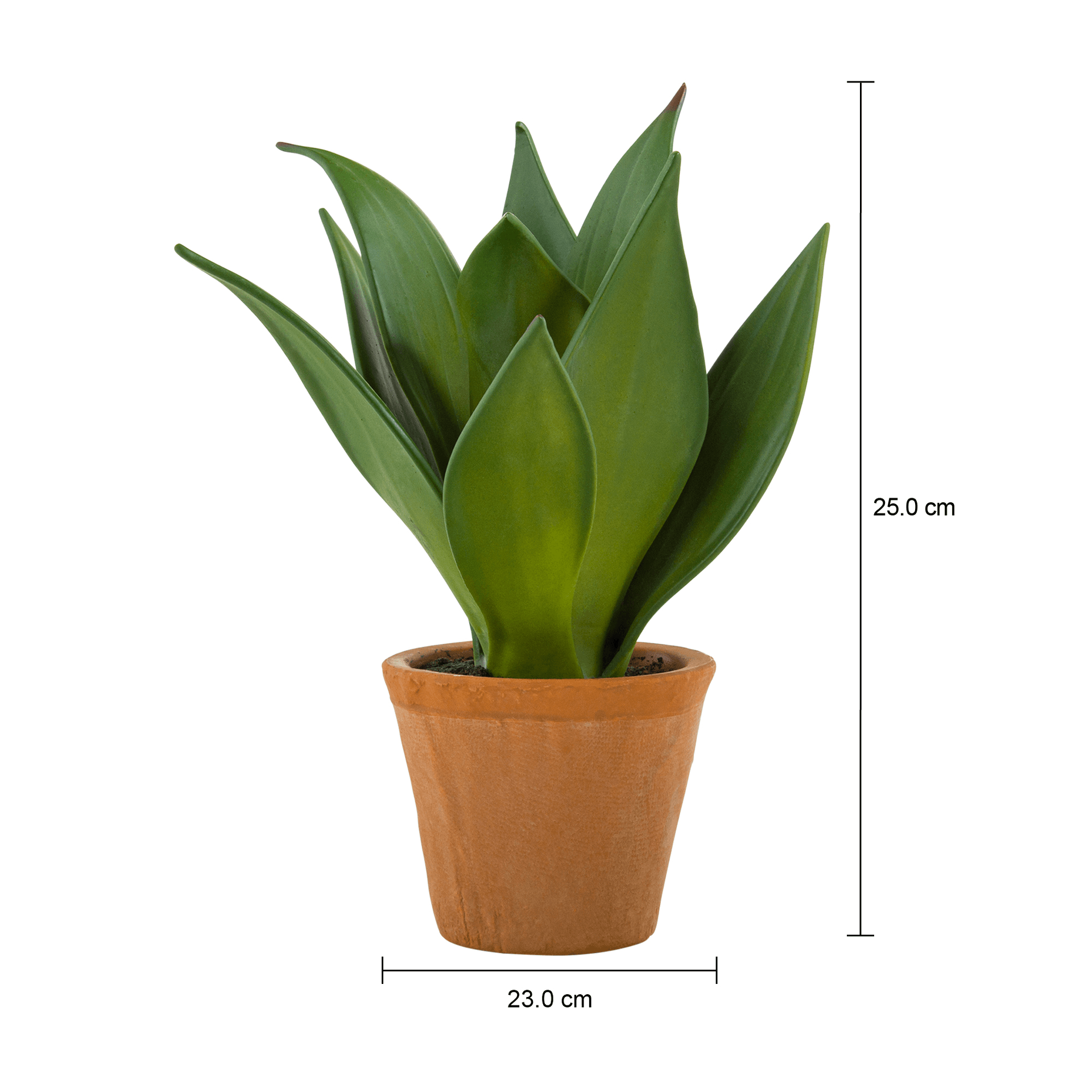 SUCULENTA-AGAVE-ARRANJO-VERDE-TERRACOTA-CHACO_MED0