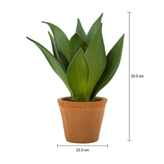 SUCULENTA-AGAVE-ARRANJO-VERDE-TERRACOTA-CHACO_MED0