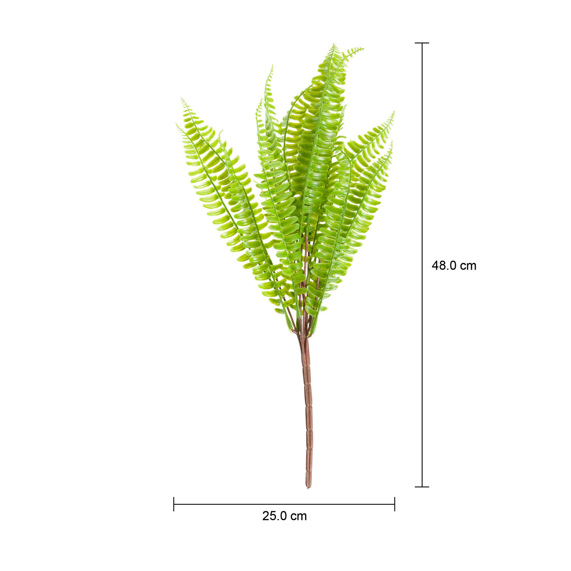 FOLHAGEM-VERDE-SAMAMBAIA_MED0