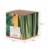 VELA-PERFUMADA-POTE-HORTELA-CAPIM-SANTO-E-LIMAO-SICILIANO-HANBAR-BEGE-BROM-LIA_MED0