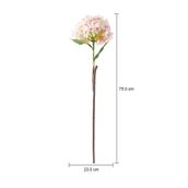 II-HORTENSIA-FLOR-ROSA-CLARO-VERDE-FLORENCE_MED0