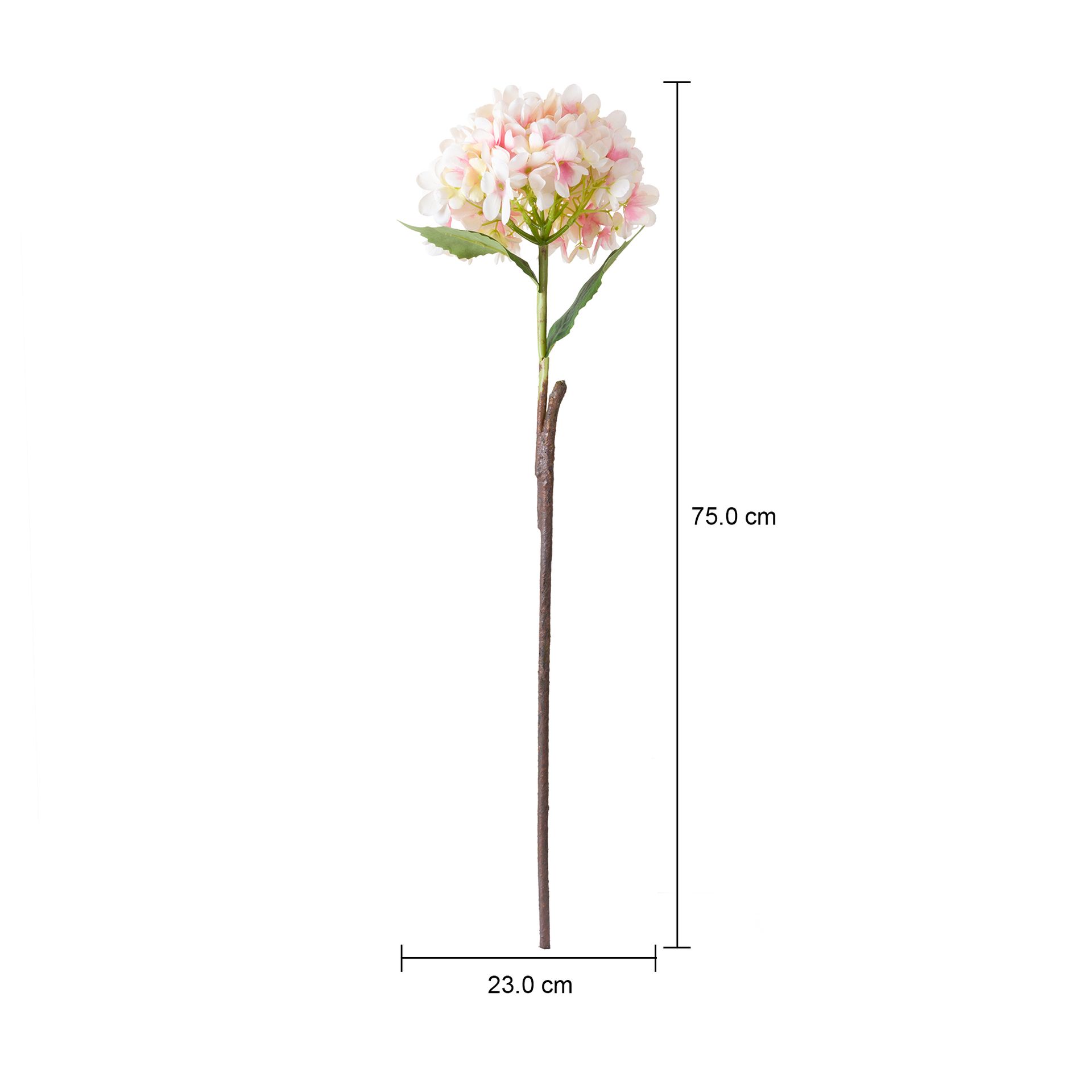 II-HORTENSIA-FLOR-ROSA-CLARO-VERDE-FLORENCE_MED0