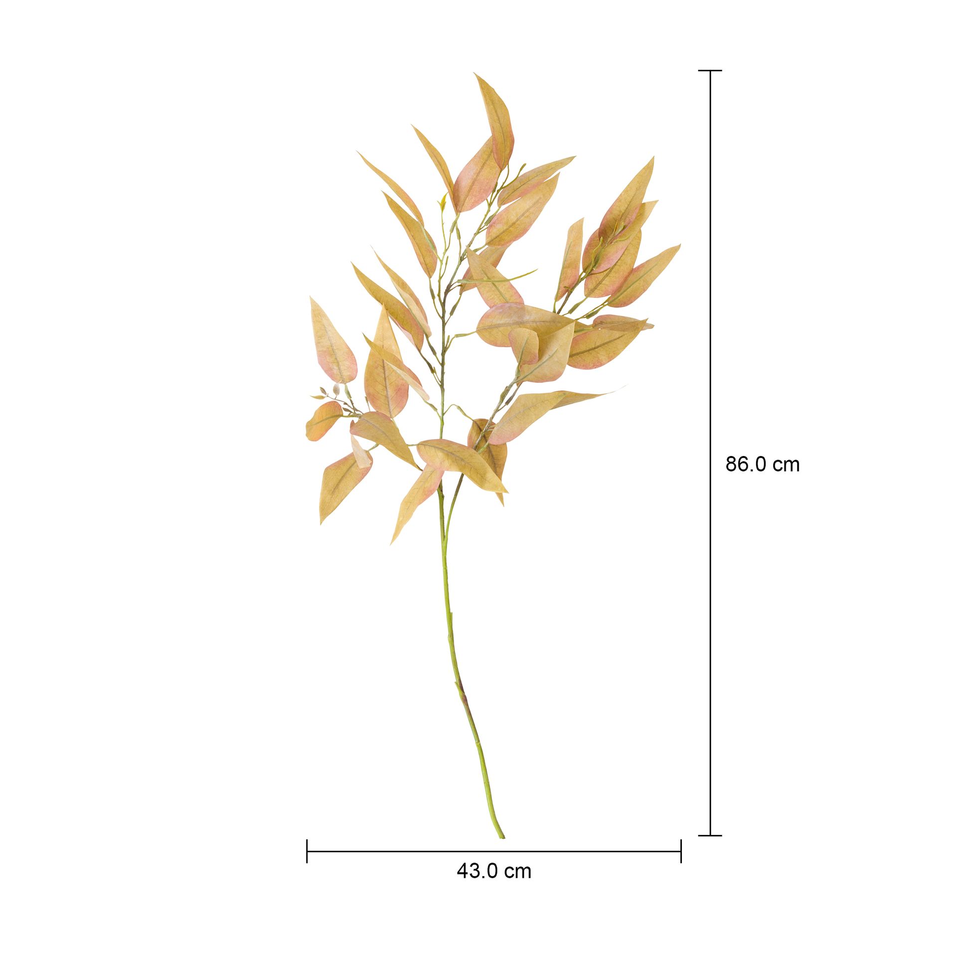 FOLHAGEM-VERDE-LEAL_MED0