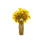 SEMPRE-VIVA-ARGOLA-GUARDANAPO-C-2-AMARELO-FIBRA-CLARA-GALHEIROS_ST4