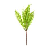 FOLHAGEM-VERDE-SAMAMBAIA_ST0