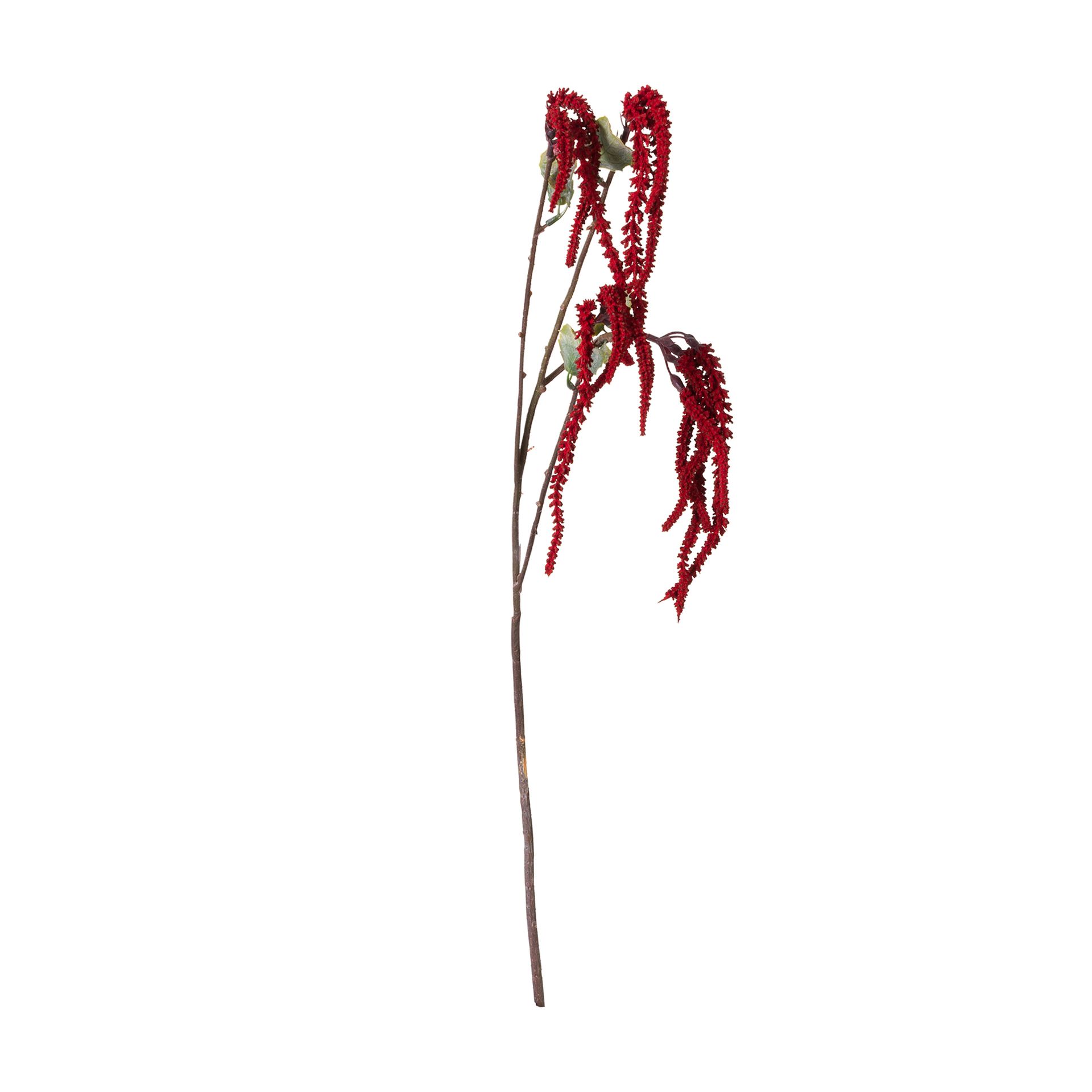 FLOR-VERMELHO-HINDU-VERDE-FALL_ST0