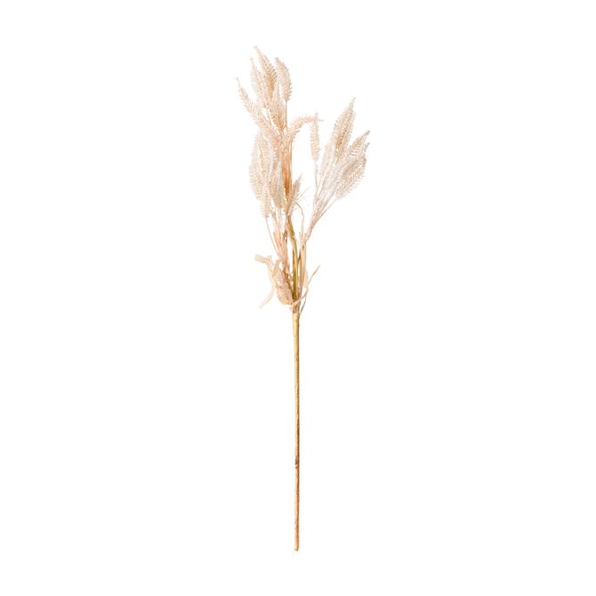Folhagem Clair Plumes Algodão