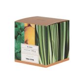 VELA-PERFUMADA-POTE-HORTELA-CAPIM-SANTO-E-LIMAO-SICILIANO-HANBAR-BEGE-BROM-LIA_ST2