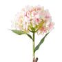 II-HORTENSIA-FLOR-ROSA-CLARO-VERDE-FLORENCE_ST1