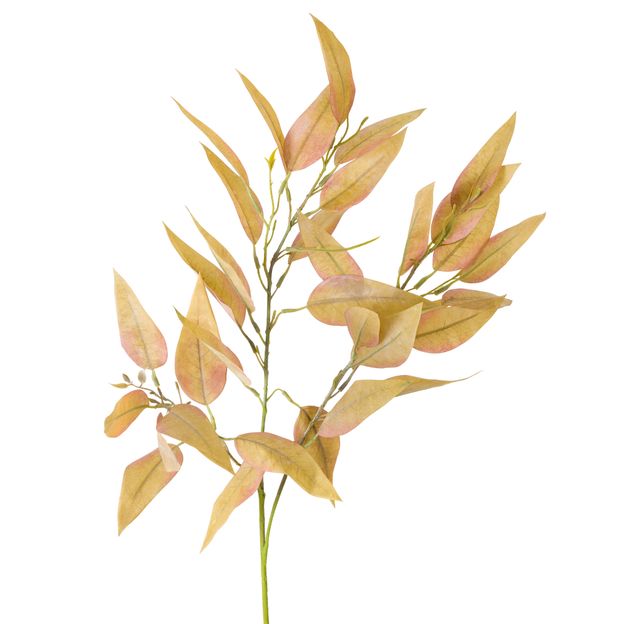 FOLHAGEM-VERDE-LEAL_ST1